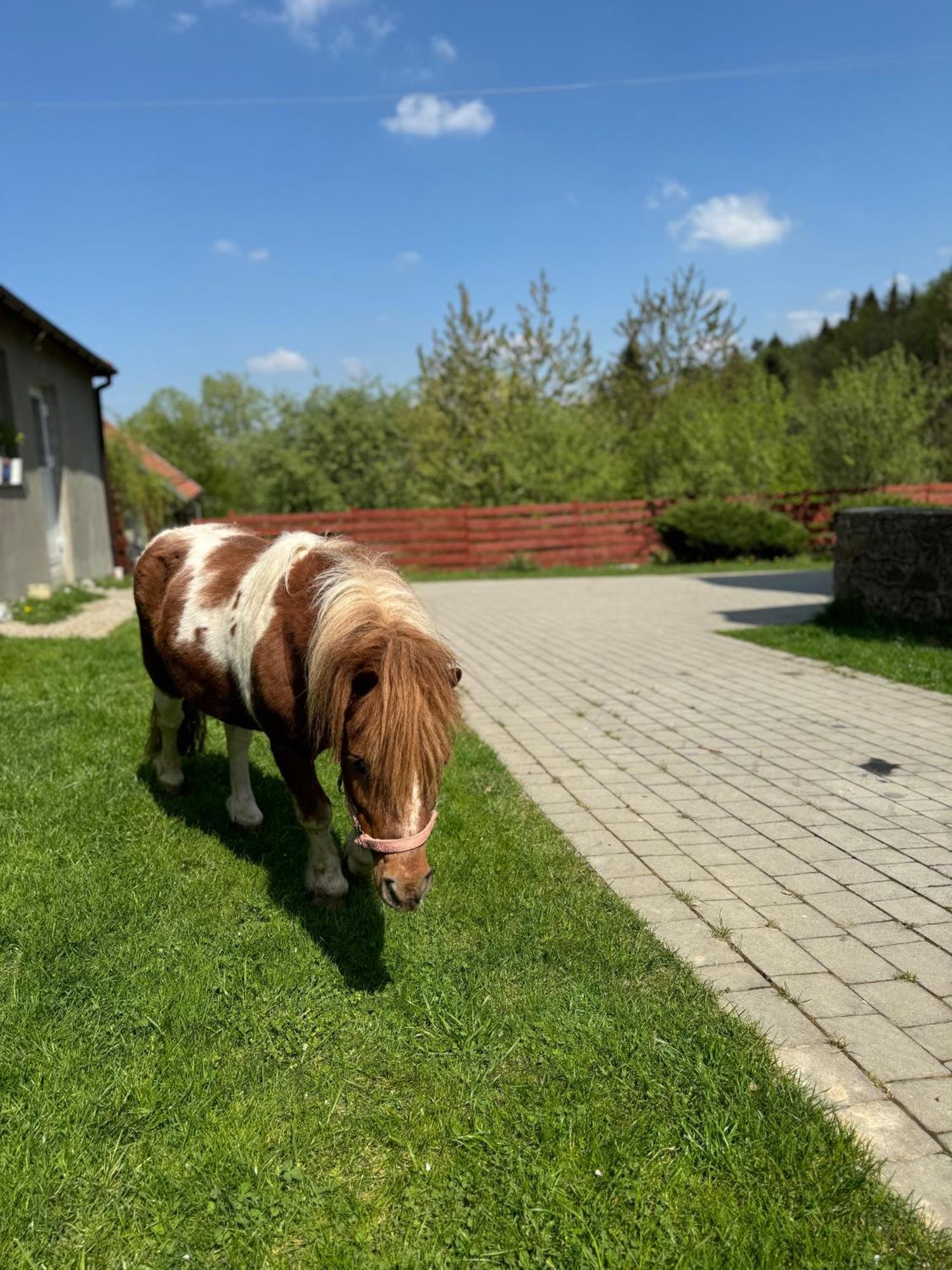 Agroturystyka U Babci Чхув Экстерьер фото